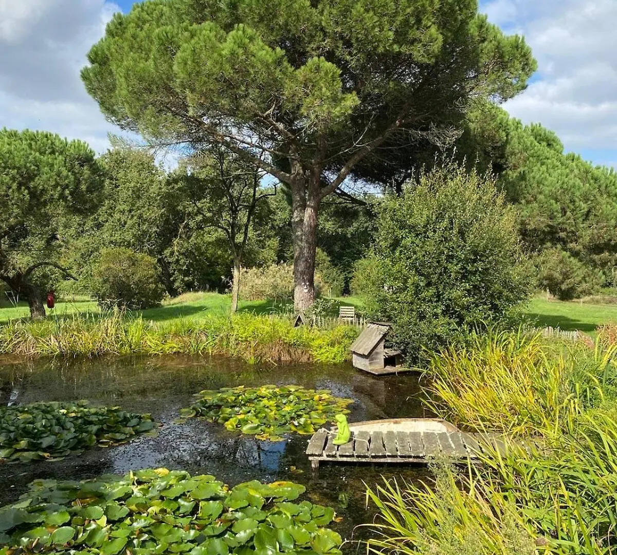 Maison Familiale Entouree De Nature Beaumont-de-Lomagne